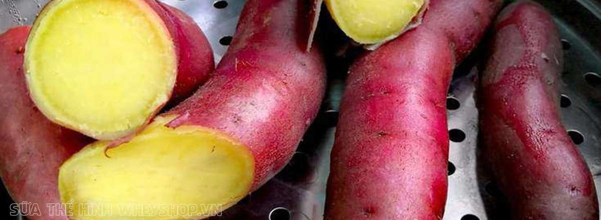 su that giam can bang khoai lang co tot khong chat so khoai lang tim