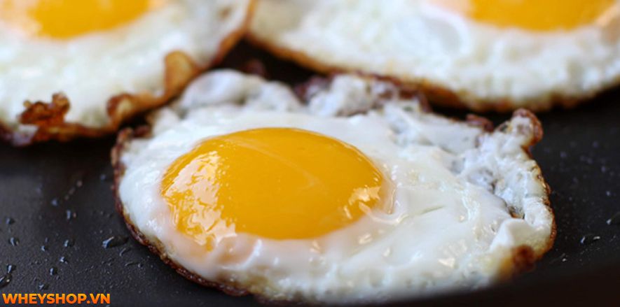 Trứng là thực phẩm hằng ngày mà chúng ta sử dụng nhưng 1 quả trứng gà bao nhiêu calo? bạn có biết không? Để tìm ra câu trả lời hãy cùng WheyShop phân tích nhé!