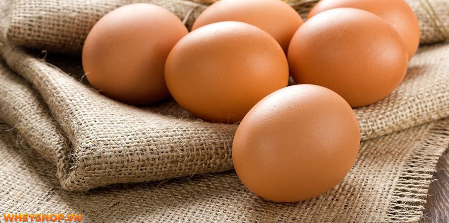 Trứng là thực phẩm hằng ngày mà chúng ta sử dụng nhưng 1 quả trứng gà bao nhiêu calo? bạn có biết không? Để tìm ra câu trả lời hãy cùng WheyShop phân tích nhé!