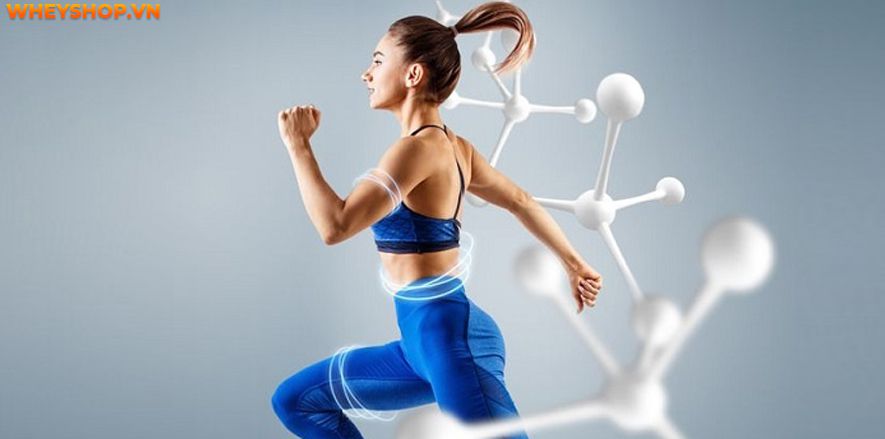 Trứng là thực phẩm hằng ngày mà chúng ta sử dụng nhưng 1 quả trứng gà bao nhiêu calo? bạn có biết không? Để tìm ra câu trả lời hãy cùng WheyShop phân tích nhé!