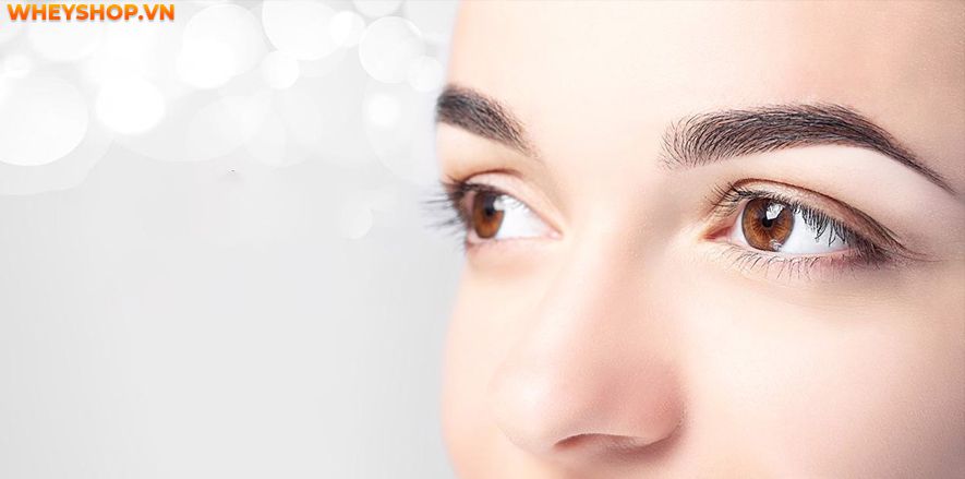 Trứng là thực phẩm hằng ngày mà chúng ta sử dụng nhưng 1 quả trứng gà bao nhiêu calo? bạn có biết không? Để tìm ra câu trả lời hãy cùng WheyShop phân tích nhé!