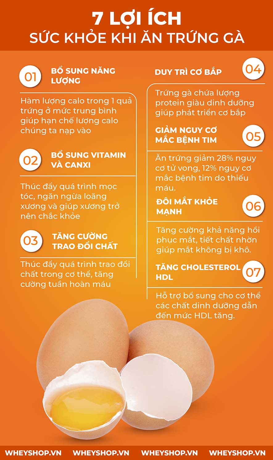 Trứng là thực phẩm hằng ngày mà chúng ta sử dụng nhưng 1 quả trứng gà bao nhiêu calo? bạn có biết không? Để tìm ra câu trả lời hãy cùng WheyShop phân tích nhé!