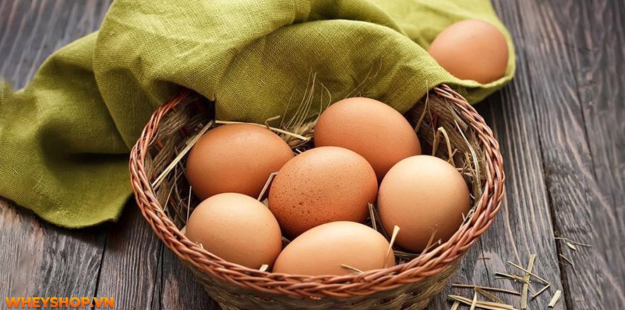 Trứng là thực phẩm hằng ngày mà chúng ta sử dụng nhưng 1 quả trứng gà bao nhiêu calo? bạn có biết không? Để tìm ra câu trả lời hãy cùng WheyShop phân tích nhé!