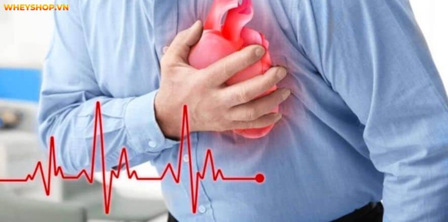 Pre Workout làm tăng sức mạnh và kéo dài thời gian chịu đựng. Cùng WheyShop tìm hiểu cụ thể hơn Pre Workout là gì và tác dụng phụ của Pre Workout....