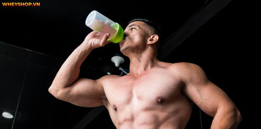 Pre Workout làm tăng sức mạnh và kéo dài thời gian chịu đựng. Cùng WheyShop tìm hiểu cụ thể hơn Pre Workout là gì và tác dụng phụ của Pre Workout....