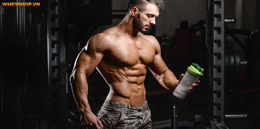 Pre Workout làm tăng sức mạnh và kéo dài thời gian chịu đựng. Cùng WheyShop tìm hiểu cụ thể hơn Pre Workout là gì và tác dụng phụ của Pre Workout....