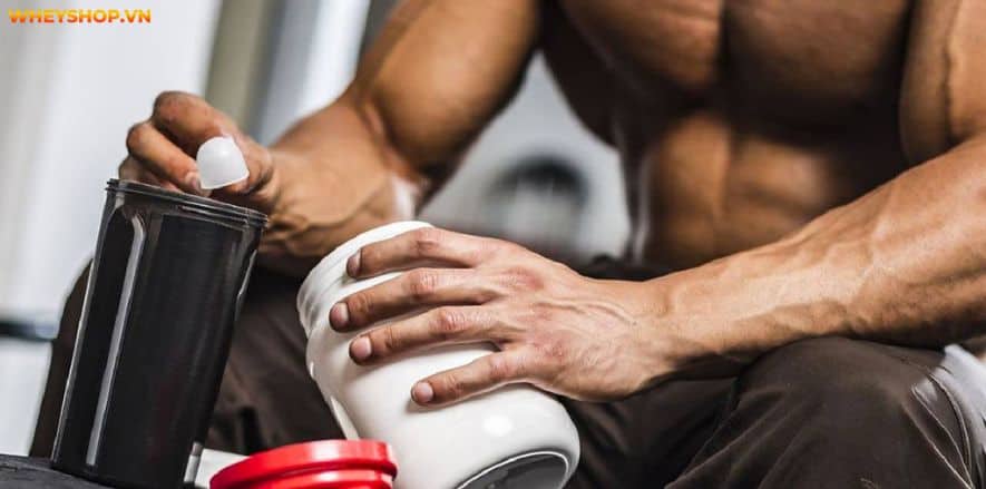 Pre Workout làm tăng sức mạnh và kéo dài thời gian chịu đựng. Cùng WheyShop tìm hiểu cụ thể hơn Pre Workout là gì và tác dụng phụ của Pre Workout....