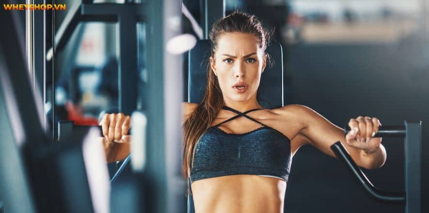 Pre Workout làm tăng sức mạnh và kéo dài thời gian chịu đựng. Cùng WheyShop tìm hiểu cụ thể hơn Pre Workout là gì và tác dụng phụ của Pre Workout....