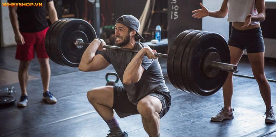 Pre Workout làm tăng sức mạnh và kéo dài thời gian chịu đựng. Cùng WheyShop tìm hiểu cụ thể hơn Pre Workout là gì và tác dụng phụ của Pre Workout....