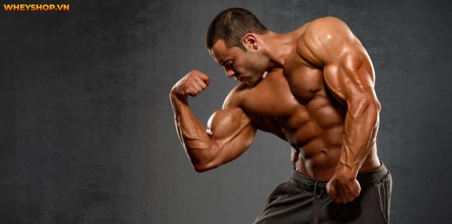 Pre Workout làm tăng sức mạnh và kéo dài thời gian chịu đựng. Cùng WheyShop tìm hiểu cụ thể hơn Pre Workout là gì và tác dụng phụ của Pre Workout....