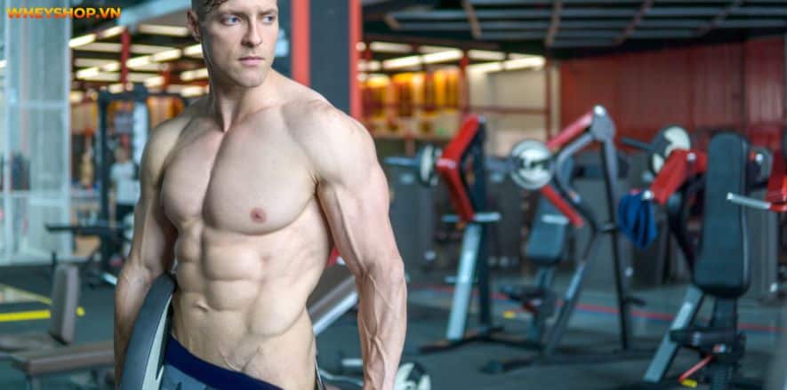 Pre Workout làm tăng sức mạnh và kéo dài thời gian chịu đựng. Cùng WheyShop tìm hiểu cụ thể hơn Pre Workout là gì và tác dụng phụ của Pre Workout....