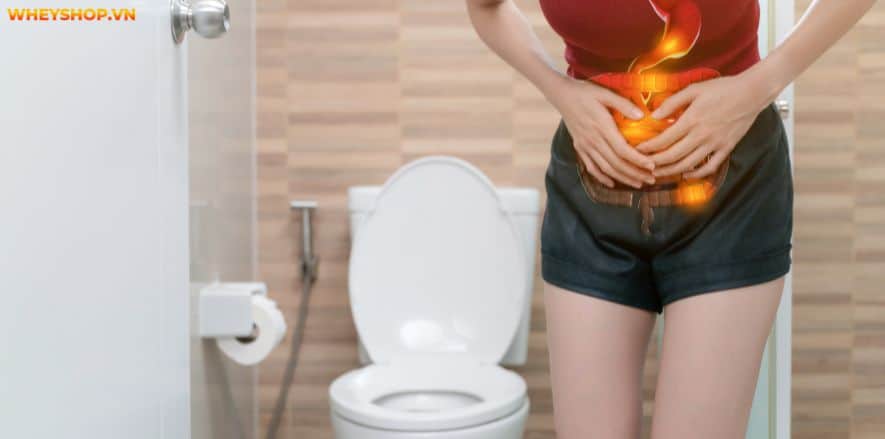 Pre Workout làm tăng sức mạnh và kéo dài thời gian chịu đựng. Cùng WheyShop tìm hiểu cụ thể hơn Pre Workout là gì và tác dụng phụ của Pre Workout....