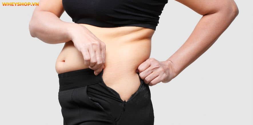 Pre Workout làm tăng sức mạnh và kéo dài thời gian chịu đựng. Cùng WheyShop tìm hiểu cụ thể hơn Pre Workout là gì và tác dụng phụ của Pre Workout....