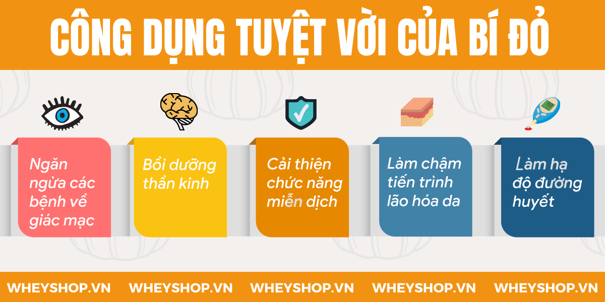 Cùng Dinh Dưỡng Thể Hình tìm hiểu về sự thật rằng sử dụng Sữa Bí Đỏ giúp bạn tăng cân hay giảm cân . Cách làm sữa Bí đỏ đơn giản và hiệu quả