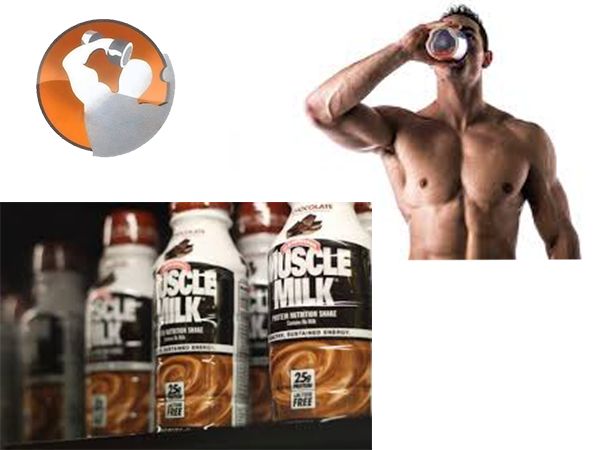 Bí quyết sử dụng sữa dinh dưỡng cho người tập thể hình Bí quyết sử dụng sữa dinh dưỡng cho người tập thể hình