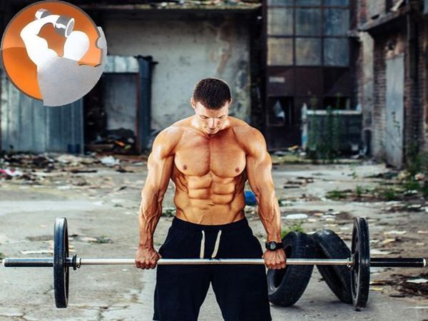 Bí quyết sử dụng sữa dinh dưỡng cho người tập thể hình Bí quyết sử dụng sữa dinh dưỡng cho người tập thể hình