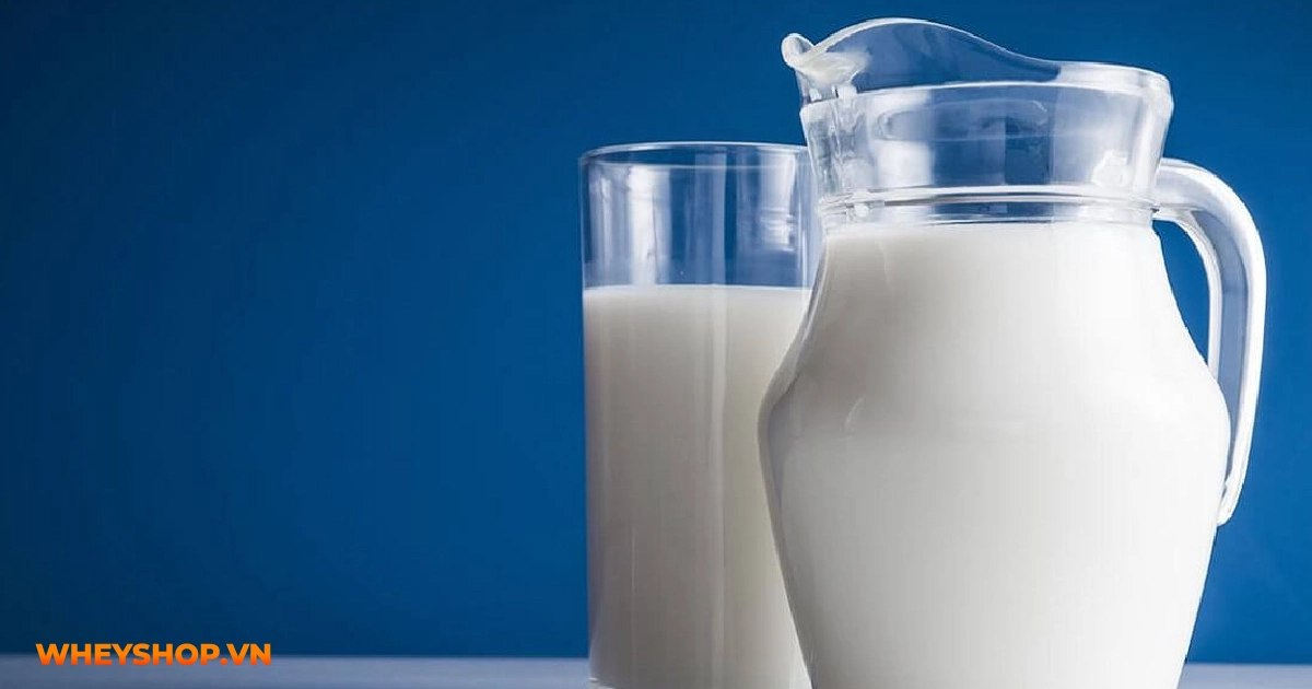 sữa nào chứa nhiều canxi nhất