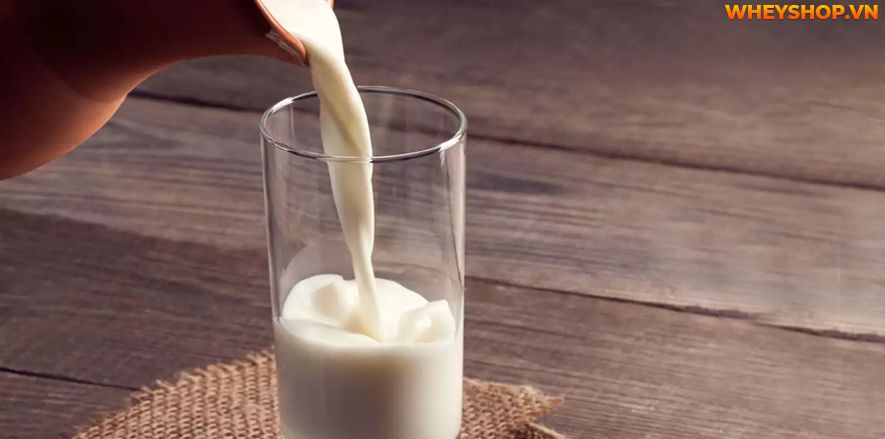 Nếu bạn có kế hoạch giảm cân và giảm lượng calo nạp vào cơ thể, hãy chọn sữa tách béo. Sữa tách béo cũng khá phù hợp với những người mắc bệnh tiểu đường, cao...