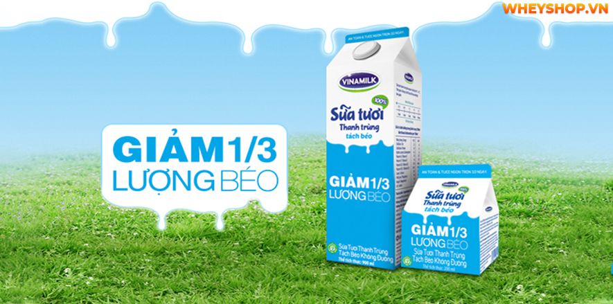 Nếu bạn có kế hoạch giảm cân và giảm lượng calo nạp vào cơ thể, hãy chọn sữa tách béo. Sữa tách béo cũng khá phù hợp với những người mắc bệnh tiểu đường, cao...