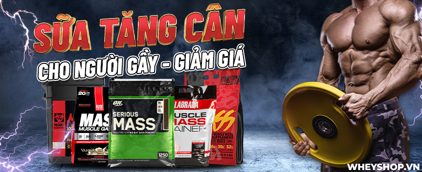 1.1lbs bằng bao nhiêu kg, 1kg bằng bao nhiêu pounds (lbs), cách chuyển lbs sang kg. Mong rằng bài viết này có thể giải đáp hết mọi thắc mắc của các bạn