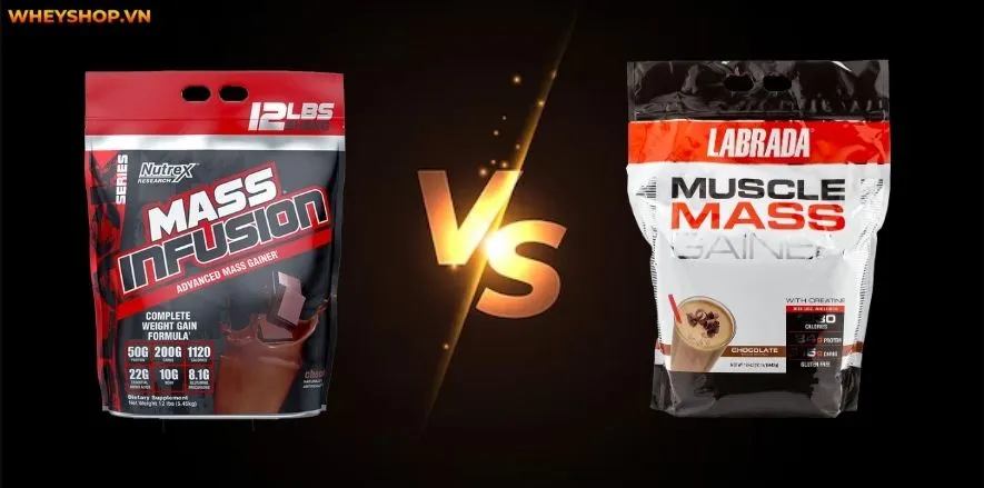 Sau khi tham khảo ý kiến người dùng và sử dụng thực tế, hầu hết đều đánh giá cao sữa tăng cân Mass Infusion. Cùng review đánh giá Mass Infusion có tốt không...
