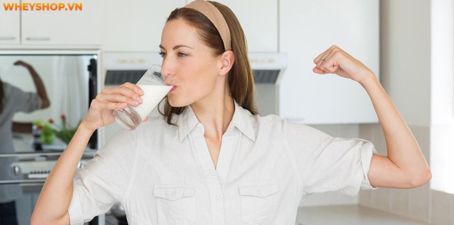 Nếu bạn đang băn khoăn sữa tươi không đường bao nhiêu calo thì hãy cùng WheyShop tìm hiểu chi tiết các loại sữa tươi không đường qua bài viết...