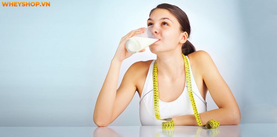 Nếu bạn đang băn khoăn sữa tươi không đường bao nhiêu calo thì hãy cùng WheyShop tìm hiểu chi tiết các loại sữa tươi không đường qua bài viết...
