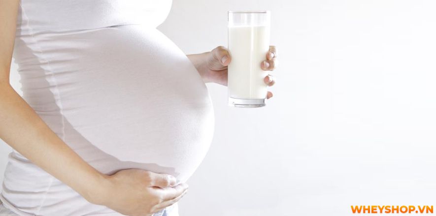 Nếu bạn đang băn khoăn sữa tươi không đường bao nhiêu calo thì hãy cùng WheyShop tìm hiểu chi tiết các loại sữa tươi không đường qua bài viết...