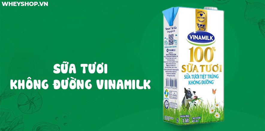 Nếu bạn đang băn khoăn sữa tươi không đường bao nhiêu calo thì hãy cùng WheyShop tìm hiểu chi tiết các loại sữa tươi không đường qua bài viết...