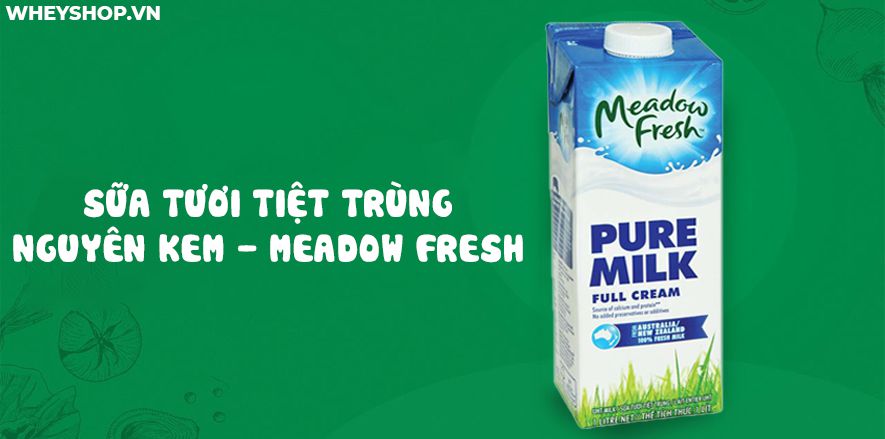 Nếu bạn đang băn khoăn sữa tươi không đường bao nhiêu calo thì hãy cùng WheyShop tìm hiểu chi tiết các loại sữa tươi không đường qua bài viết...