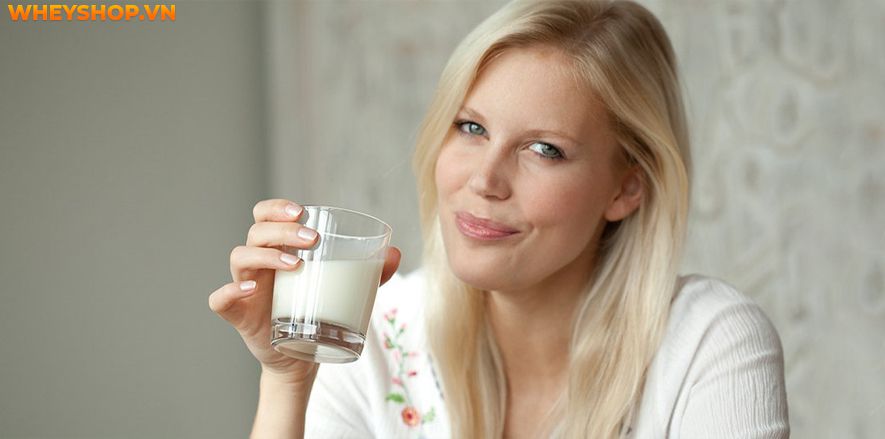 Nếu bạn đang băn khoăn sữa tươi không đường bao nhiêu calo thì hãy cùng WheyShop tìm hiểu chi tiết các loại sữa tươi không đường qua bài viết...