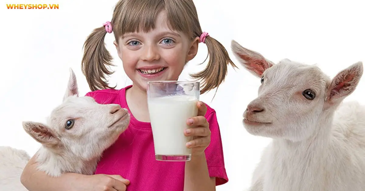 sua-uong-tang-can-cho-nguoi-gay-7