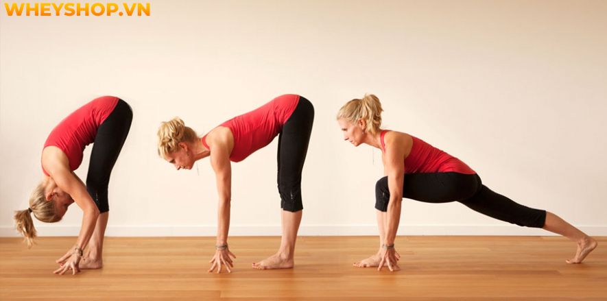 Từ khi ra đời cho đến nay, trường phái Yoga Therapy đã được yêu thích và trở thành một trong những trường phái yoga với nhiều tác dụng đối với sức khỏe con...