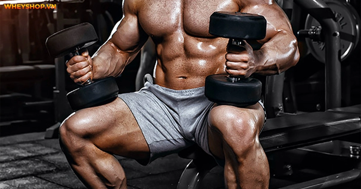 superset-la-gi-trong-tap-luyen-the-hinh-6