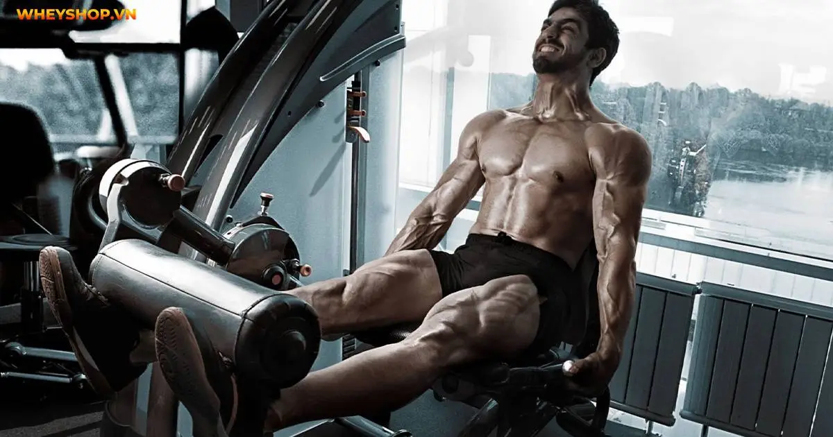 superset-la-gi-trong-tap-luyen-the-hinh-6