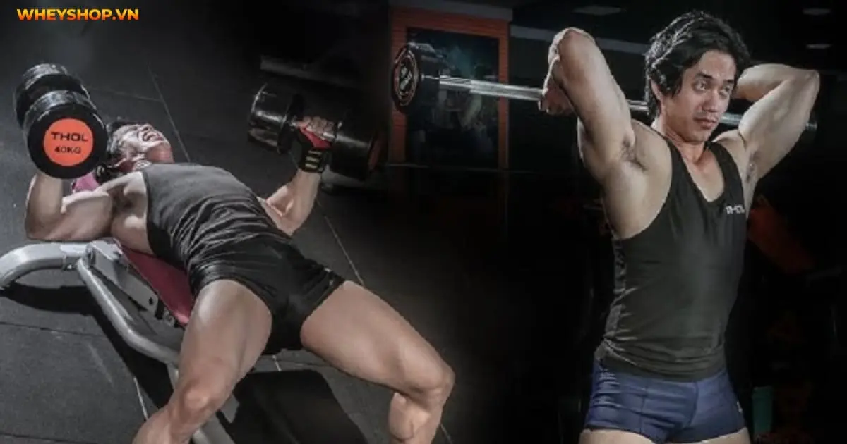 superset-la-gi-trong-tap-luyen-the-hinh-6