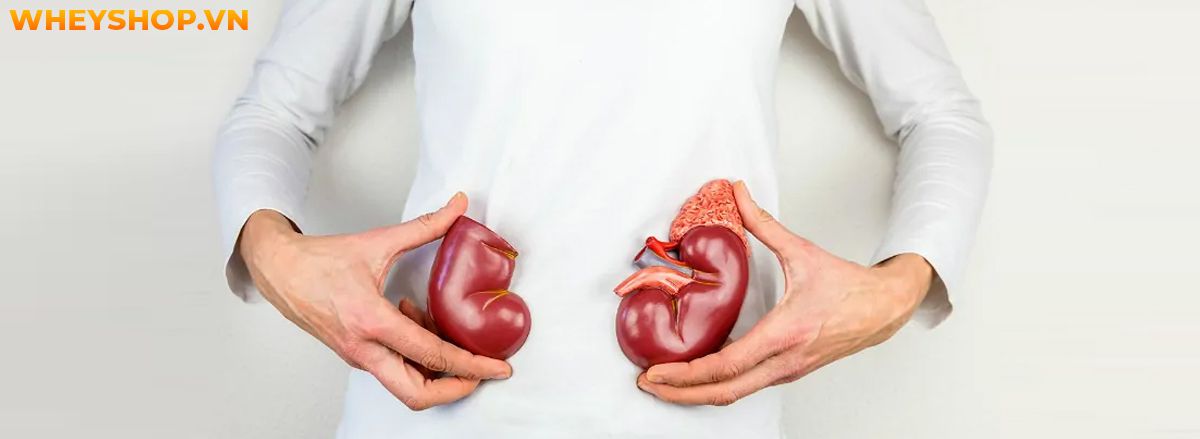 Nếu bạn đang tìm cách giảm cân hiệu quả thì uống nước ấm giảm cân là giải pháp đơn giản cho bạn. Cùng WheyShop tham khảo cách uống nước ấm giảm cân qua bài...