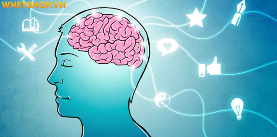 Suy nghĩ tích cực là gì? Làm thế nào để thay đổi suy nghĩ tiêu cực trở nên tích cực hơn trong công việc, cuộc sống. Hãy cùng WheyShop tham khảo chi tiết...