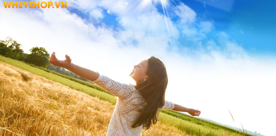 Suy nghĩ tích cực là gì? Làm thế nào để thay đổi suy nghĩ tiêu cực trở nên tích cực hơn trong công việc, cuộc sống. Hãy cùng WheyShop tham khảo chi tiết...