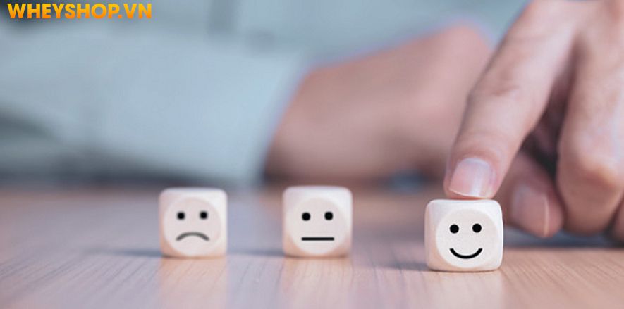 Suy nghĩ tích cực là gì? Làm thế nào để thay đổi suy nghĩ tiêu cực trở nên tích cực hơn trong công việc, cuộc sống. Hãy cùng WheyShop tham khảo chi tiết...