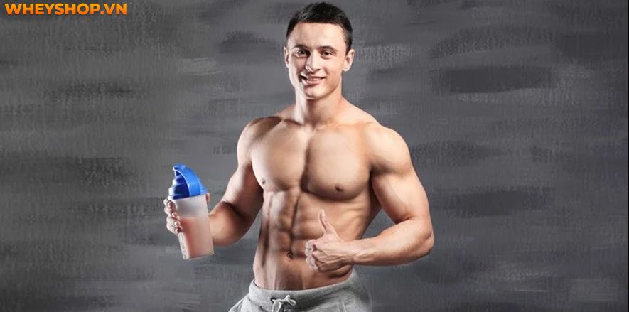 Người gầy có nên uống sữa tăng cân không? Cùng WheyShop tìm hiểu ngay 6 lý do thuyết phục nhất dành cho người gầy băn khoăn về sữa tăng cân nhé...