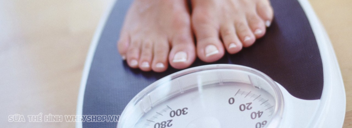 Các bạn nữ mới bắt đầu thường hay thắc mắc rằng nên tập gym hay yoga ? Tập cái nào thì tốt ? Tham khảo ngay bài viết nếu bạn chưa tìm ra câu trả lời nhé !