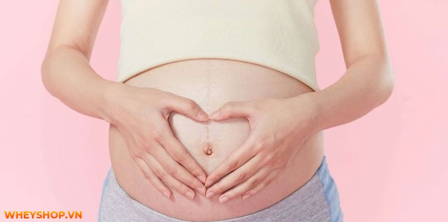 Dùng hoa đậu biếc có tác hại gì không? Cùng WheyShop tham khảo 7 tác hại của hoa đậu biếc - Đọc sớm không hối hận