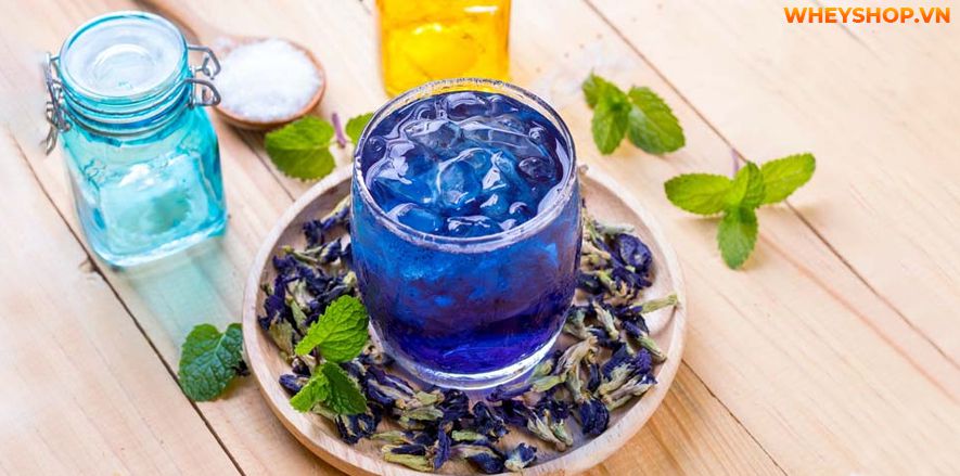 Dùng hoa đậu biếc có tác hại gì không? Cùng WheyShop tham khảo 7 tác hại của hoa đậu biếc - Đọc sớm không hối hận