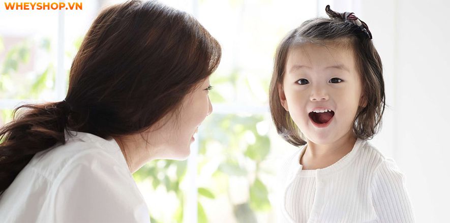 Dùng hoa đậu biếc có tác hại gì không? Cùng WheyShop tham khảo 7 tác hại của hoa đậu biếc - Đọc sớm không hối hận