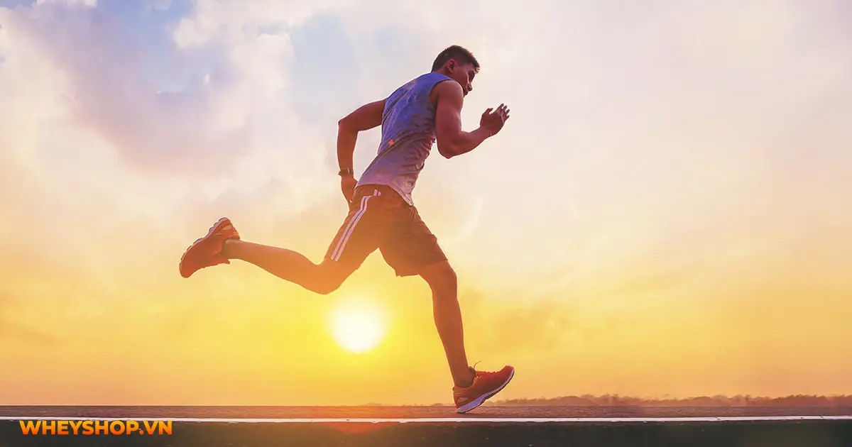 tac-hai-cua-leg-extension-05-min