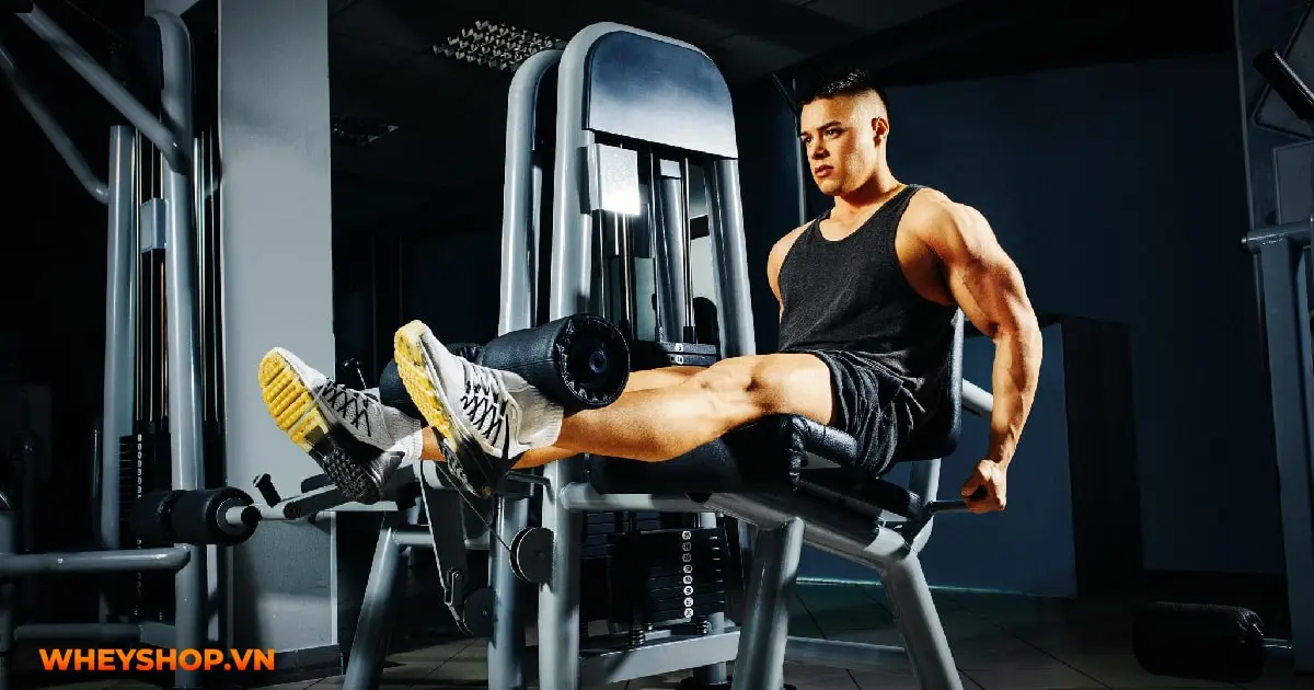 tac-hai-cua-leg-extension-05-min