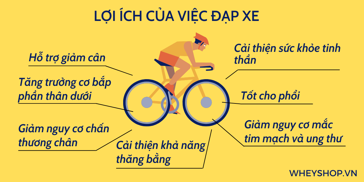Đạp xe là một trong những môn thể thao được nhiều người tập luyện để rèn luyện sức khỏe. Tuy nhiên, đạp xe nhiều có tốt không? Tác hại của việc đi xe đạp cần...