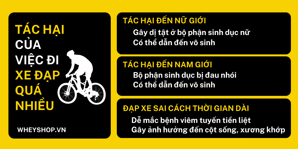 Đạp xe là một trong những môn thể thao được nhiều người tập luyện để rèn luyện sức khỏe. Tuy nhiên, đạp xe nhiều có tốt không? Tác hại của việc đi xe đạp cần...