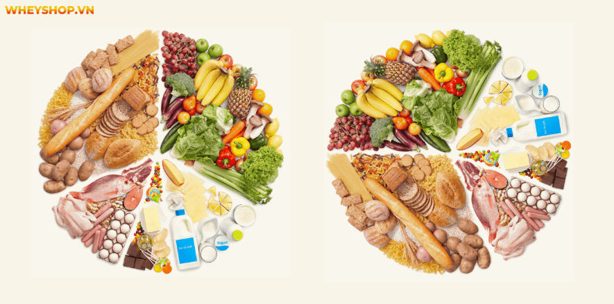 Ăn rất nhiều thực phẩm tươi ngon, giàu chất dinh dưỡng, nhưng không bao giờ tăng cân được. Hãy cùng WheyShop tìm hiểu tại sao ăn nhiều vẫn gầy....